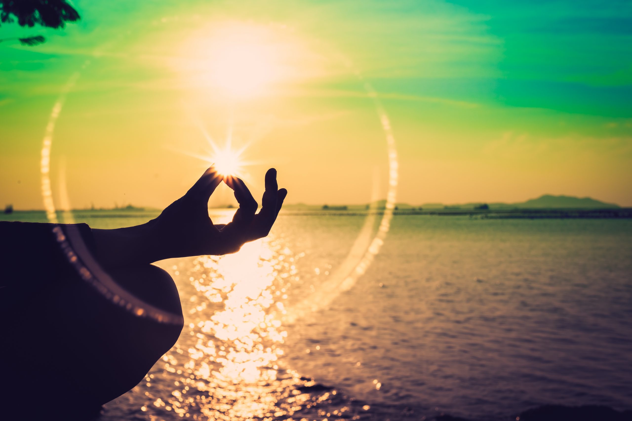 Silhouette,,A,Hand,Of,Woman,Meditating,In,A,Yoga,Pose